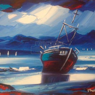 Ettrick Bay Wreck 2 by Raymond Murray (A014)